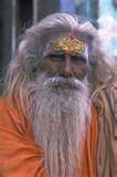 ‘not that long beard and saffron cloth sadhu’